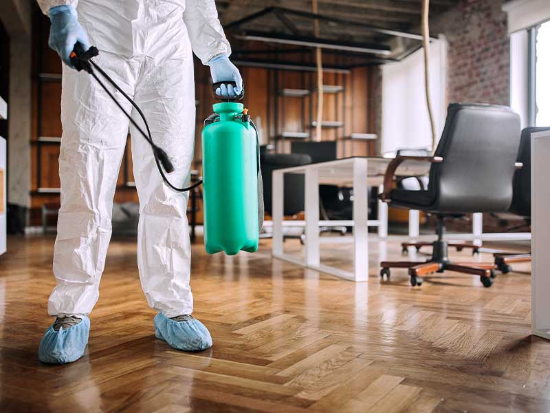 Pest Control Services